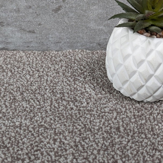 SCS Olympia Cappa Saxony Hardwearing Carpet