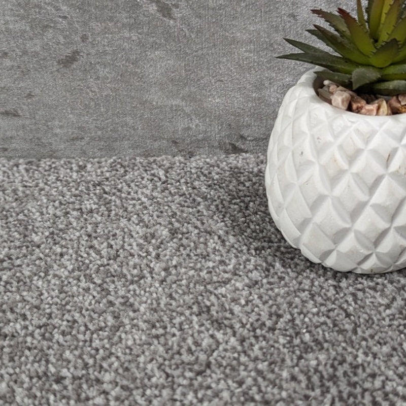 SCS Olympia Mist Saxony Carpet