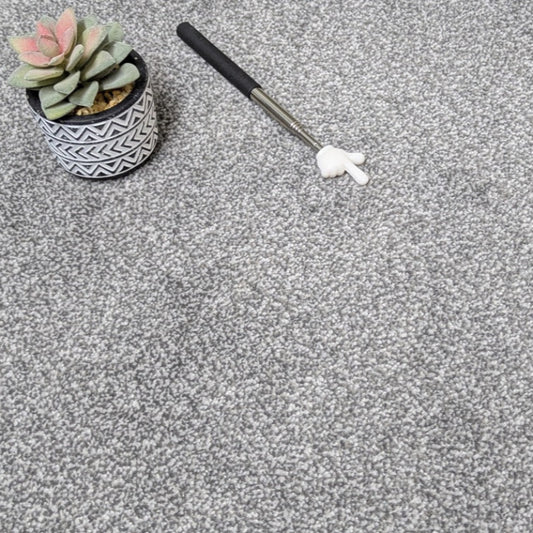 SCS Olympia Silver Saxony Carpet