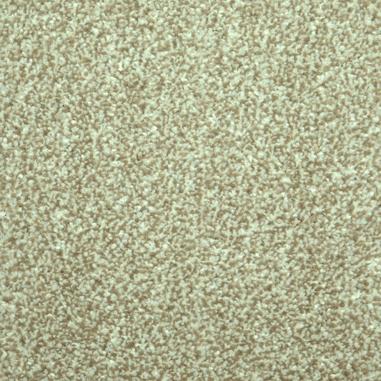 SCS Thick Beige Carpet