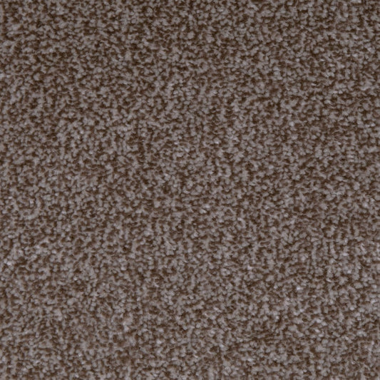 SCS Supreme Chocolate Brown Carpet