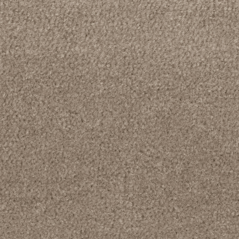 Sands Toffee Carpet Flooring