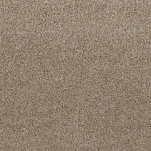 Sands Toffee Carpet Flooring