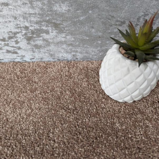 Satino Royale Saxony Brown Carpet