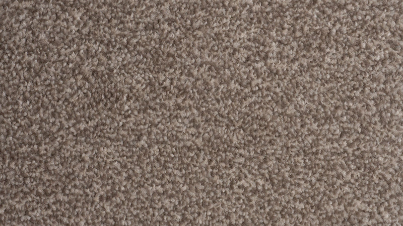 Saxony Neutral Carpet