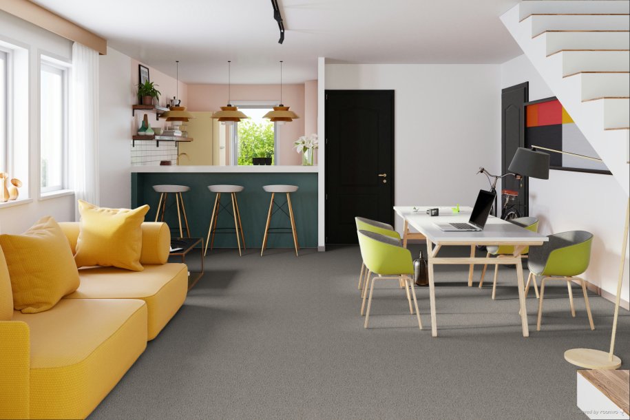Scotcha Barber Black Pepper Color Carpet