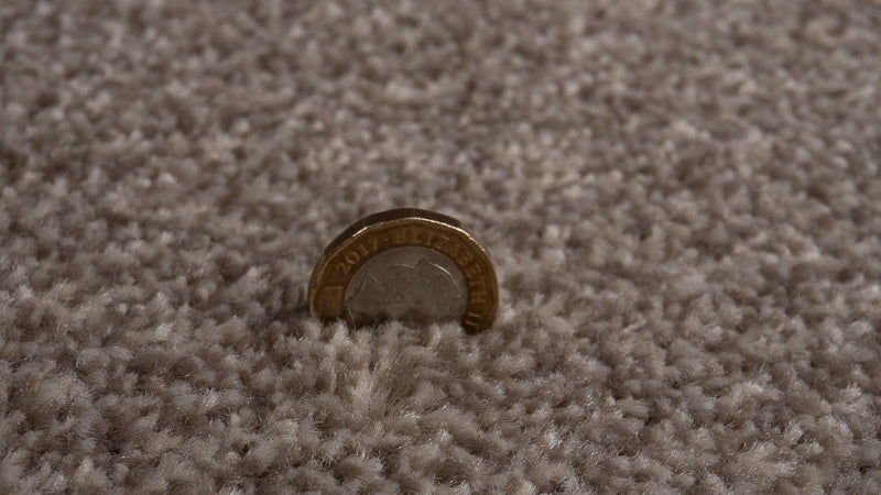 Soft Neutral Carpet