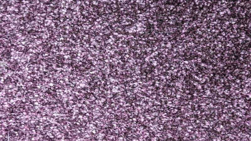 Soft Purple Carpet 