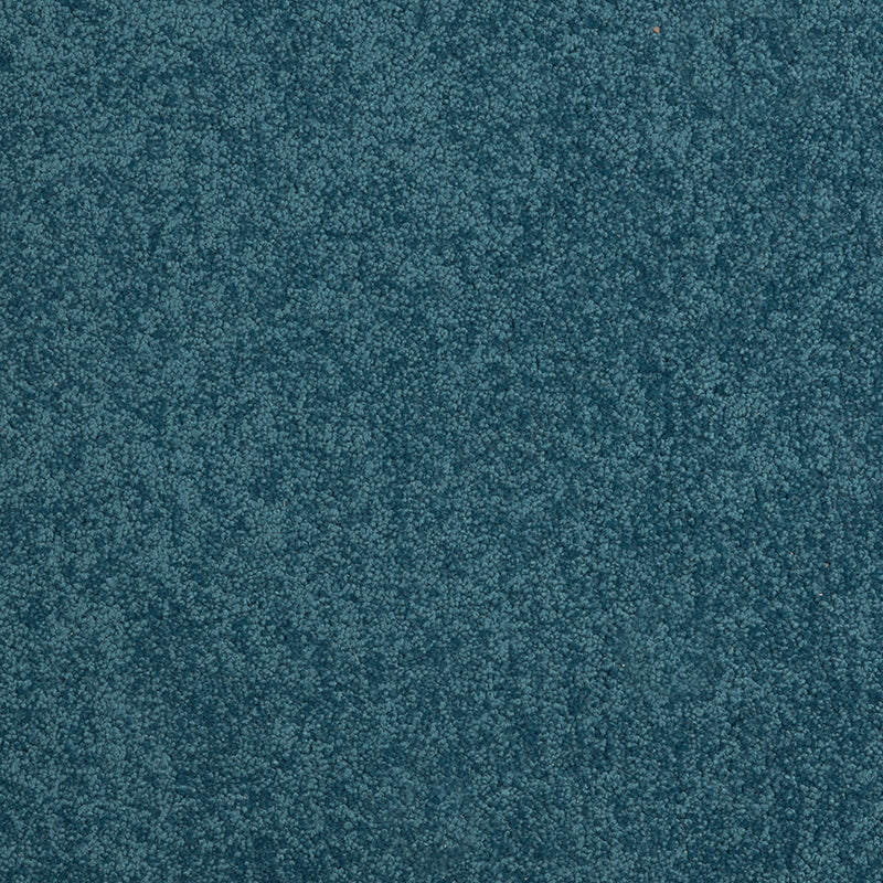 Tennessee Blue Carpet