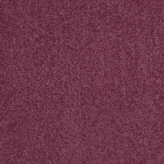 Tennessee Saxony Thick Purple Carpet