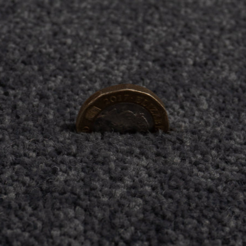 Tennessee Lead Grey Carpet