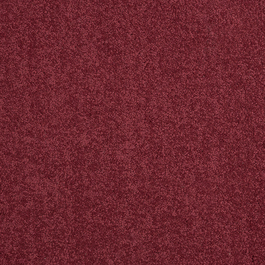 Tennessee Saxony Red Carpet