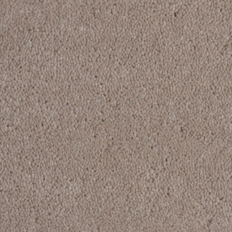 Tennessee Intimate Neutral Saxony Carpet