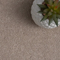 Tennessee Intimate Neutral Saxony Carpet