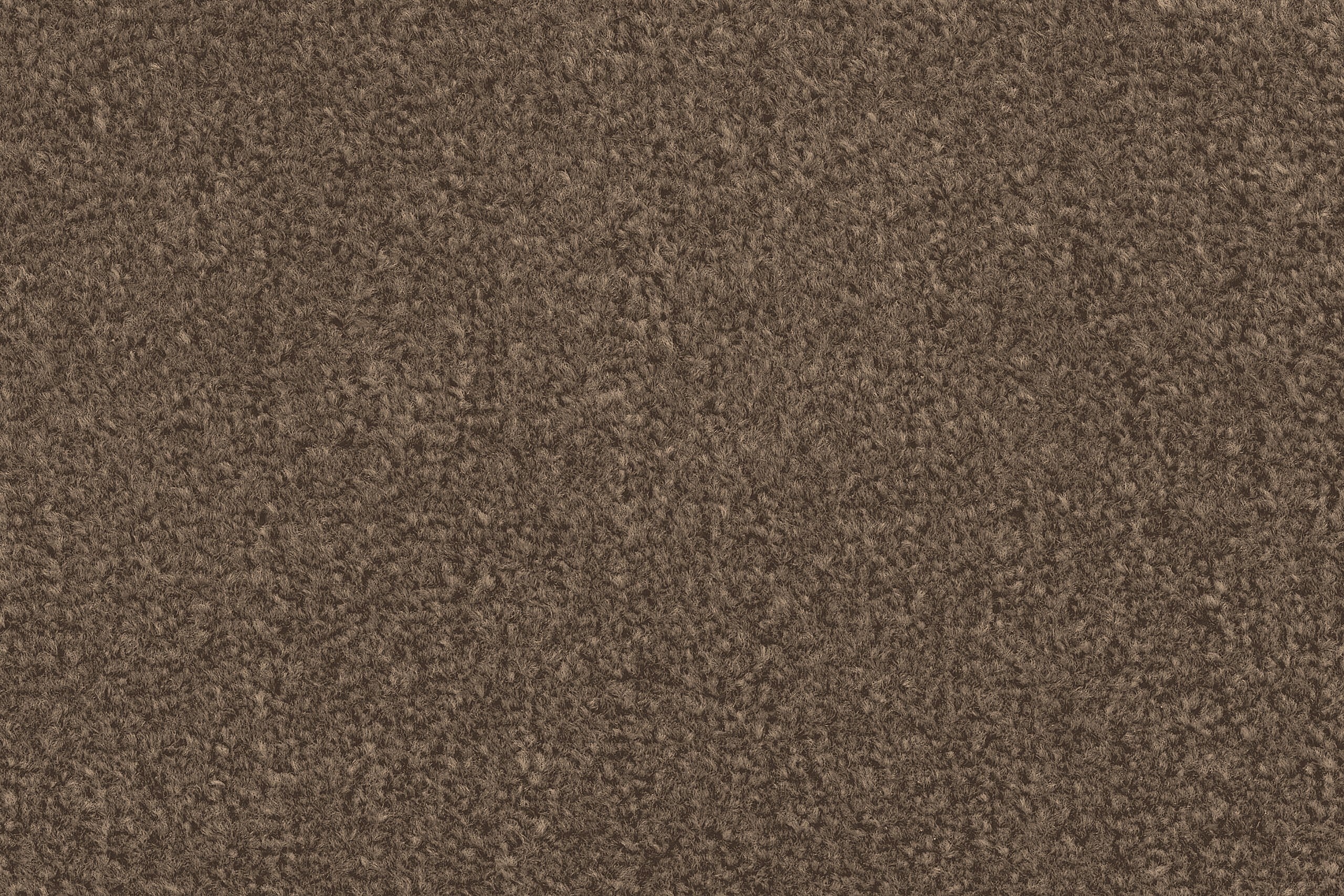 Liberty Twist Coffee Brown Carpet