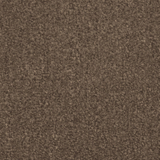 Liberty Twist Coffee Brown Carpet