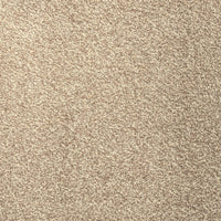 Velocity Beige Feltback Carpet