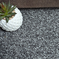 Velo Twist Platinum Grey Carpet