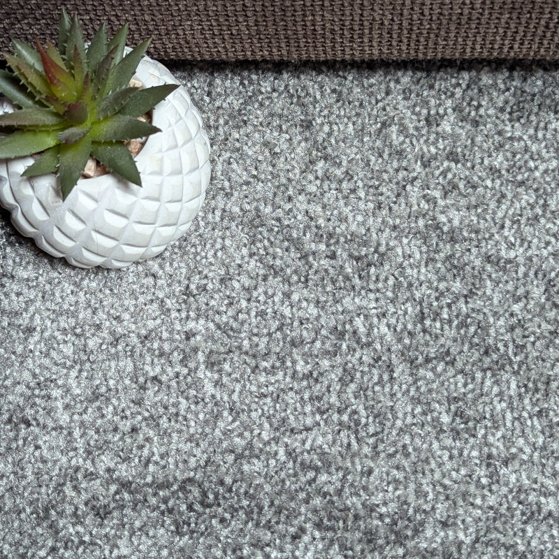 Velo Twist Pewter Carpet Roll End - 4mx3m (12m2)