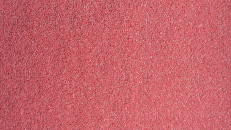 Vibrant Pink Carpet 