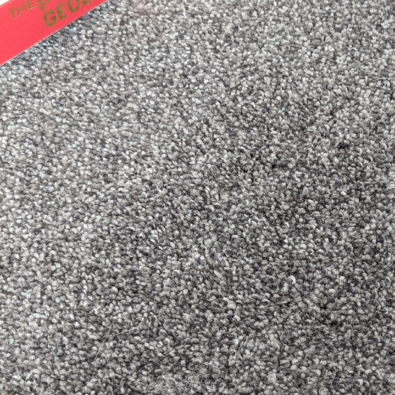 Willow Deluxe Grey Saxony Thick Carpet