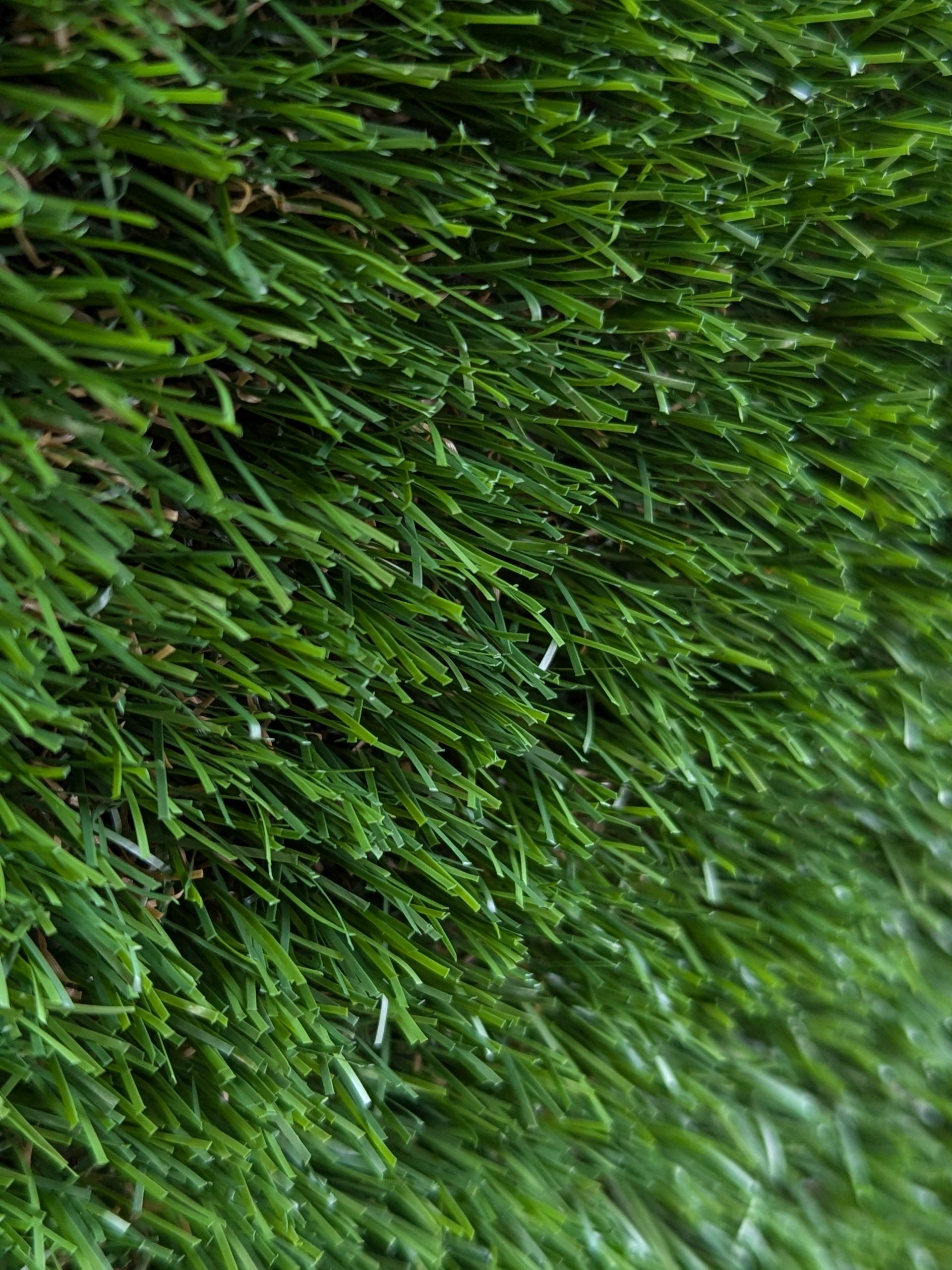 Haven Artificial Grass