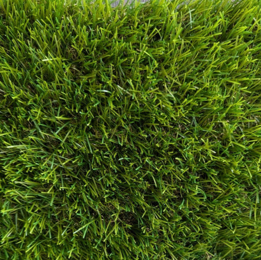 Augus Thick 38mm Artificial Grass