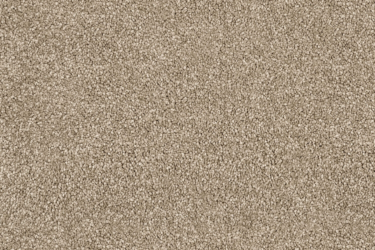 Ellesmere Barley Polyester Beige Carpet