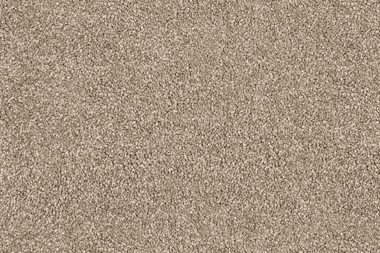 beige living room carper 