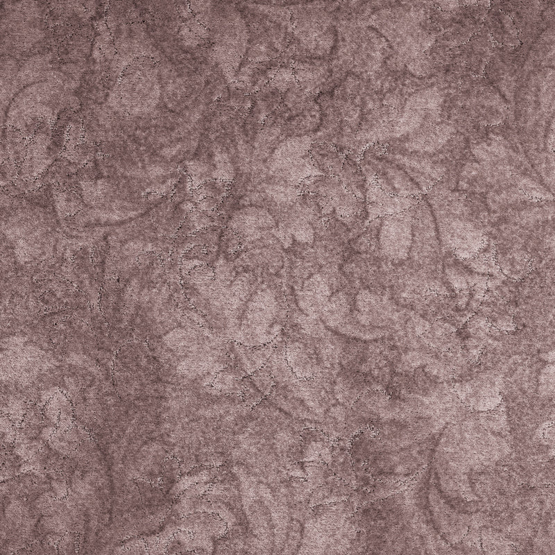 California Dreams Blush Carpets