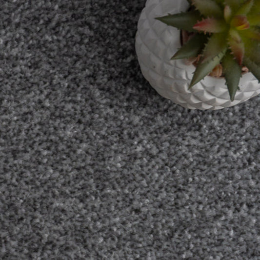 Campiro Saxony Grey Carpet