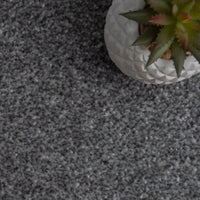 Campiro Saxony Grey Carpet