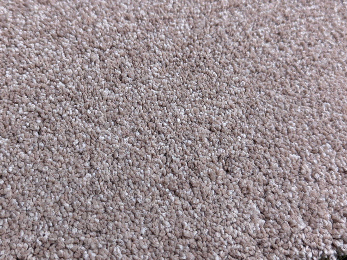 cinnamon opulence carpet