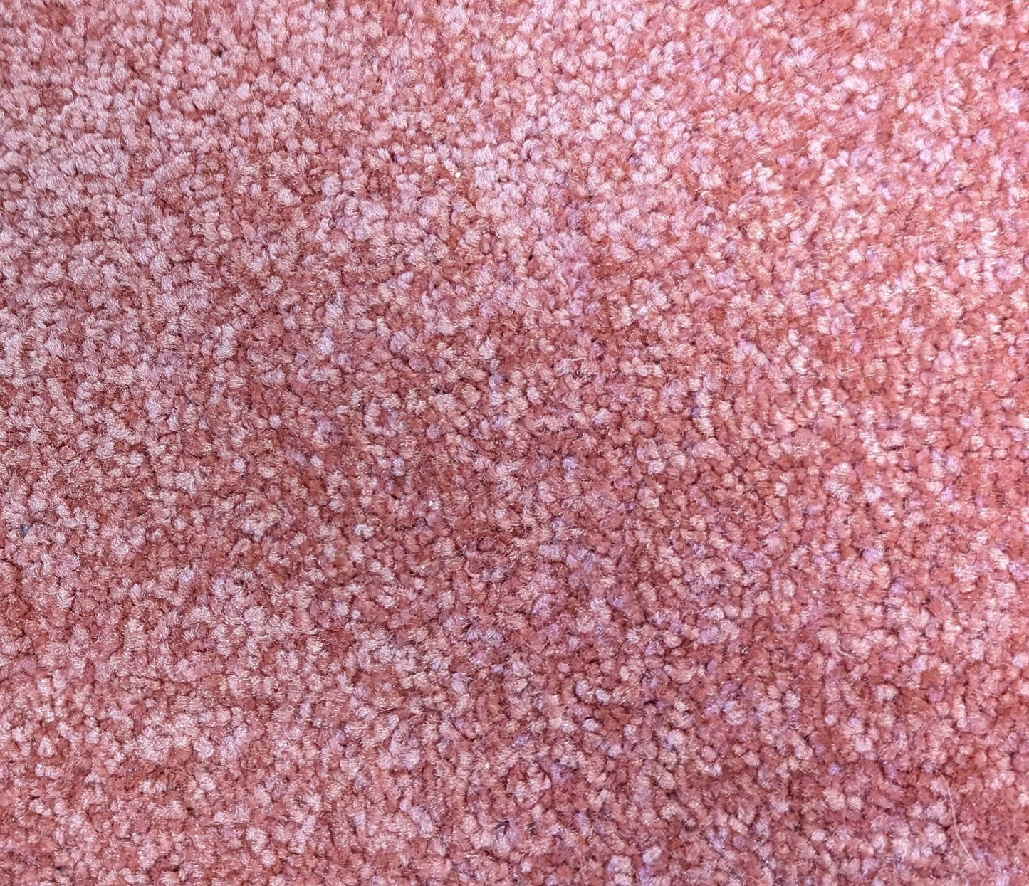 coral pink carpet