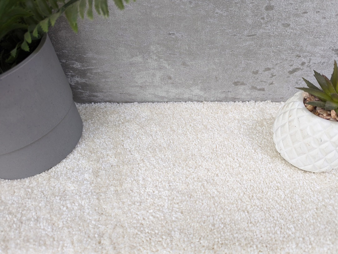 Cream-Colored Satino Royale Carpet