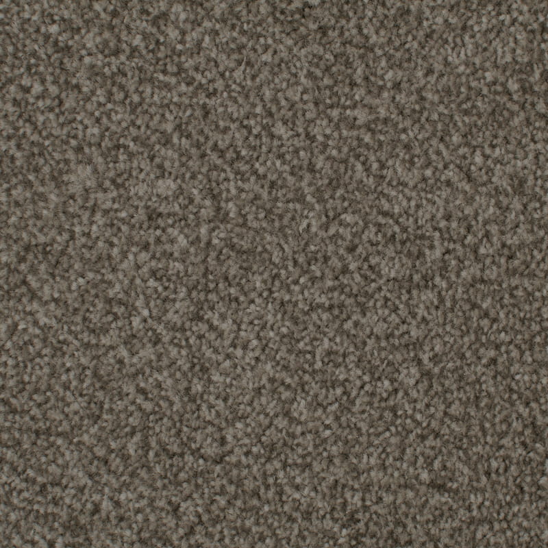 Elite 20mm Black Pepper Carpet 
