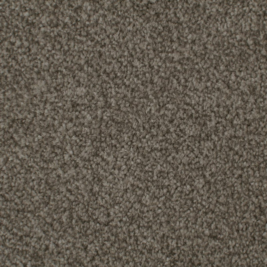 Elite 20mm Black Pepper Carpet 