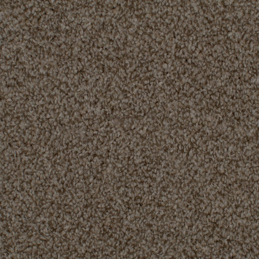 Oxford Elite 20mm Dark Brown Carpet 