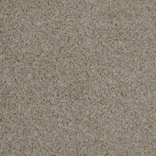 Faded Brown Carpet 