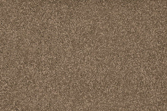 Polyester Brown Carpet