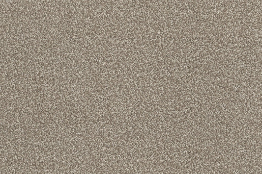 Soft Grain Carpet