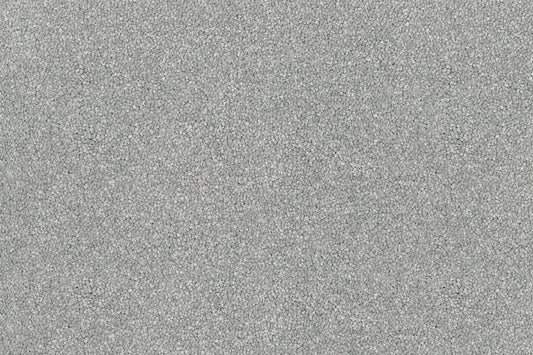 Soft Gray Carpet