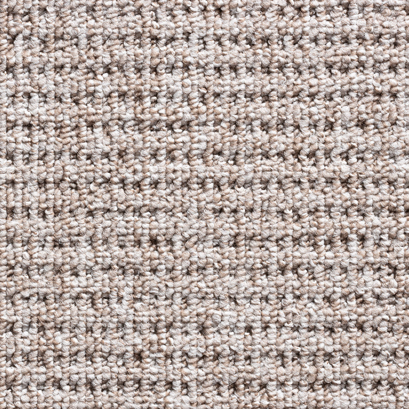Floregon Latte Loop Pile Carpet