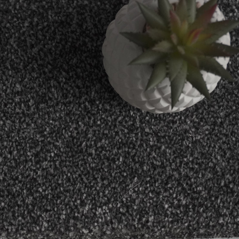 Flynn Shark Grey Carpet
