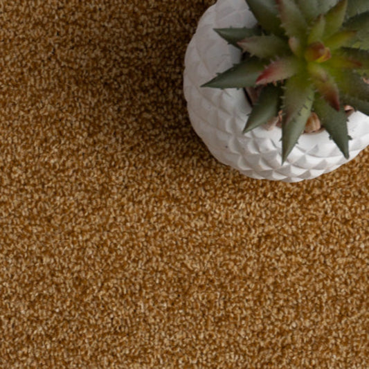Grangewood Saxony Harvest Gold Carpet
