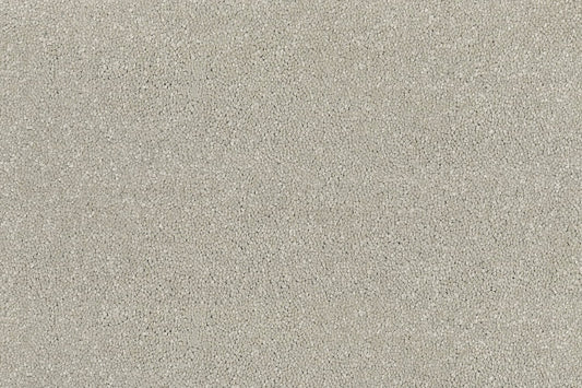 light grey-beige carpet