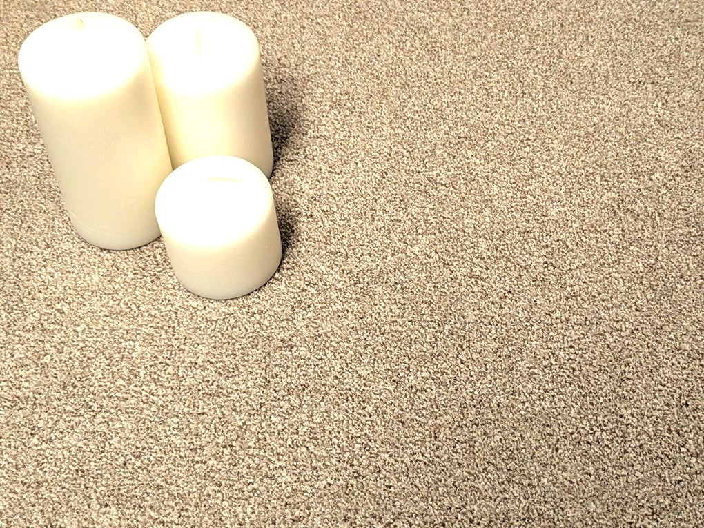 mocha textured carpet