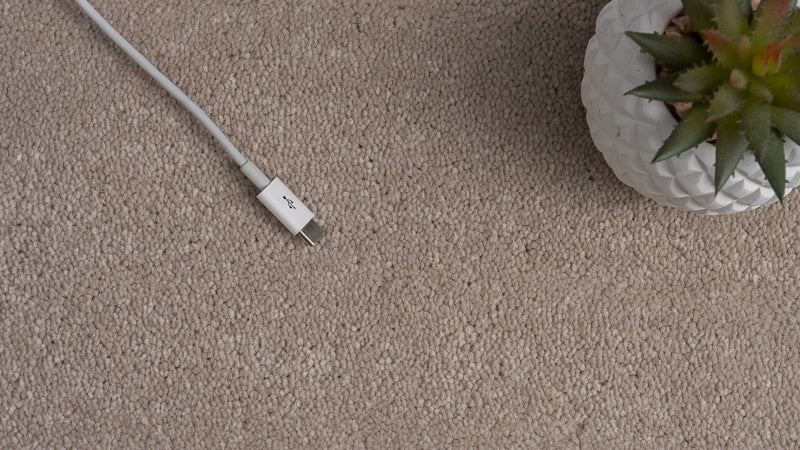 Tennessee Carpet