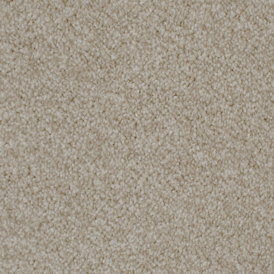 Oxford Elite 20mm Beige Carpet 