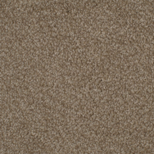 Oxford Elite 20mm Natural Brown Carpet